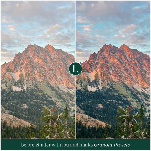 Granola Preset Collection By Primosy - Image 7