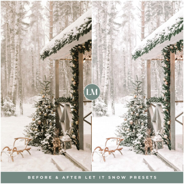 Winter Preset Bundle By Primosy - Image 19