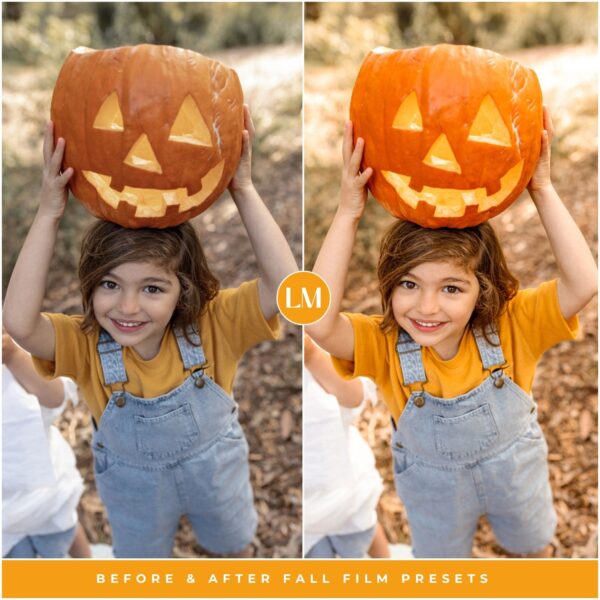 Fall Film Preset Collection By Primosy - Image 4