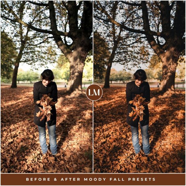Moody Fall Preset Collection By Primosy - Image 13