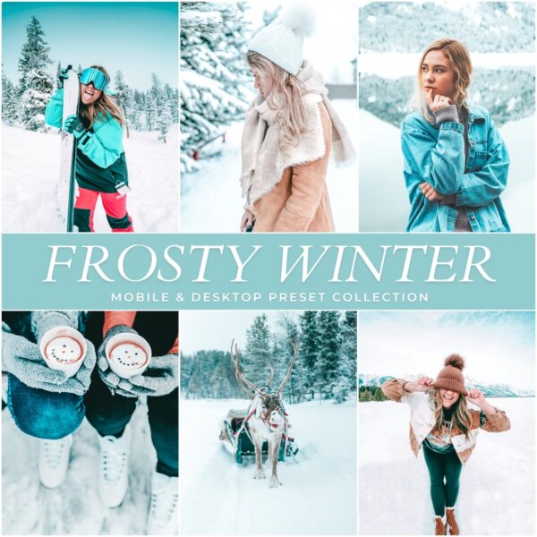 Holiday Preset Bundle By Primosy - Image 9