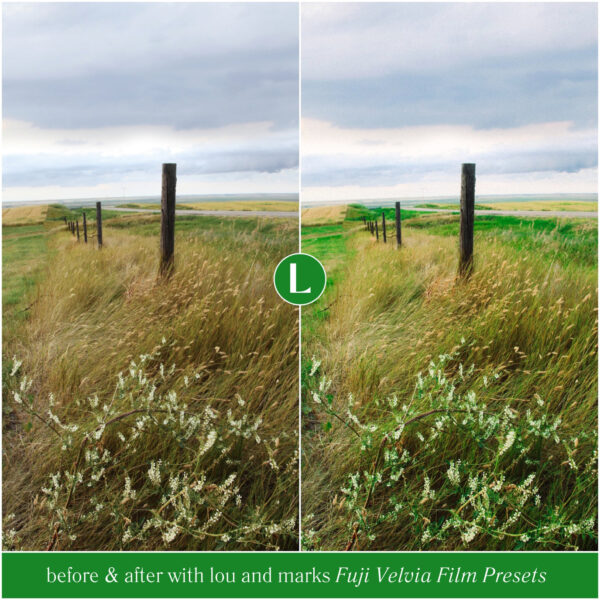 Fuji Velvia Film Preset Collection By Primosy - Image 15
