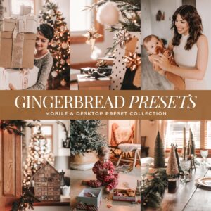 Gingerbread Preset Collection By Primosy