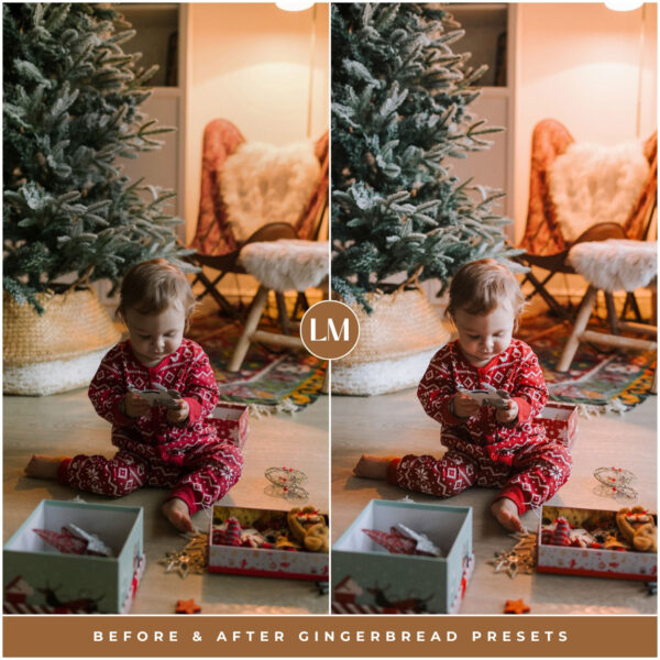 Gingerbread Preset Collection By Primosy - Image 3
