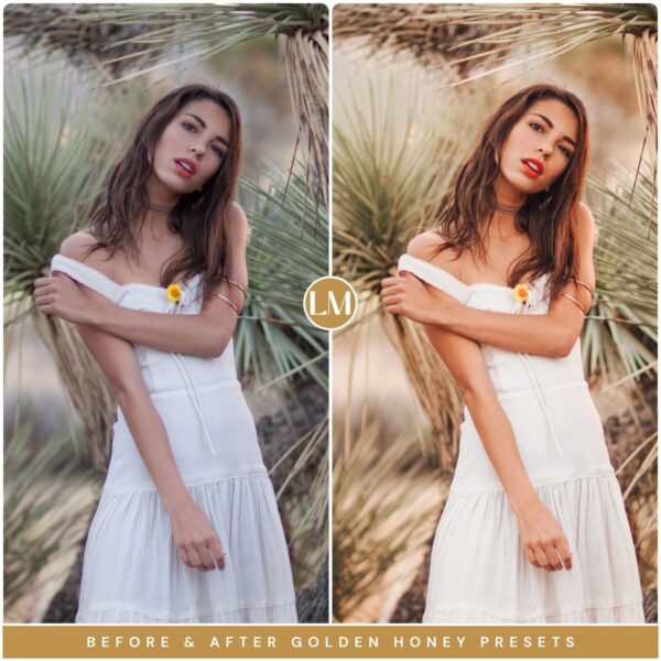Honey Preset Collection By Primosy - Image 2