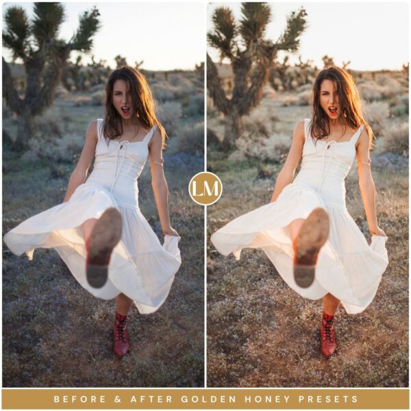 Honey Preset Collection By Primosy - Image 8