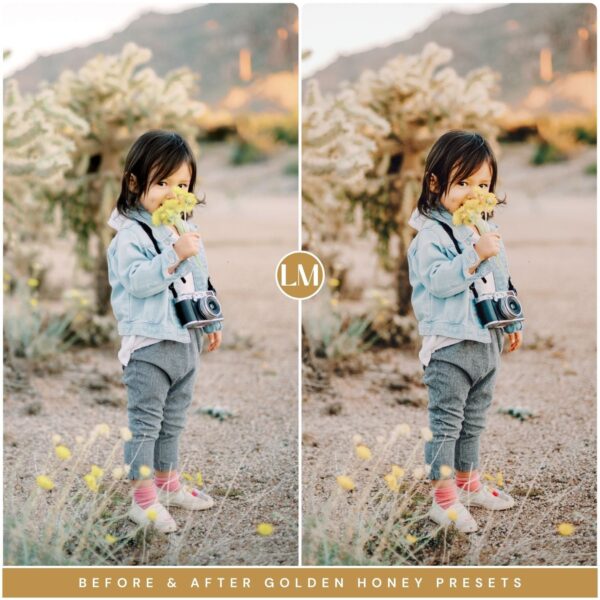 Honey Preset Collection By Primosy - Image 3