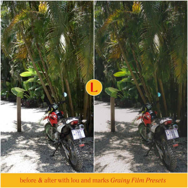 Grainy Film Preset Collection By Primosy - Image 12