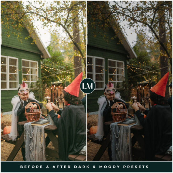 Dark & Moody Preset Collection By Primosy - Image 23
