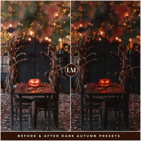 Dark Autumn Preset Collection By Primosy - Image 4