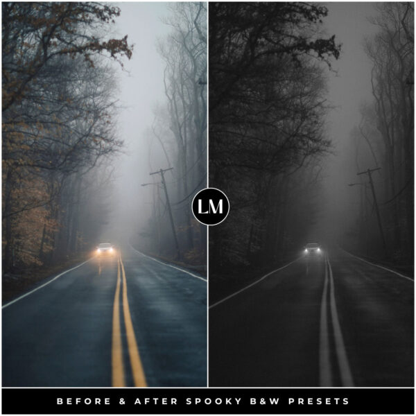 Spooky Black & White Preset Collection By Primosy - Image 7