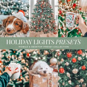 Holiday Lights Preset Collection By Primosy