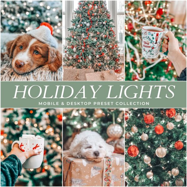 Holiday Preset Bundle By Primosy - Image 3
