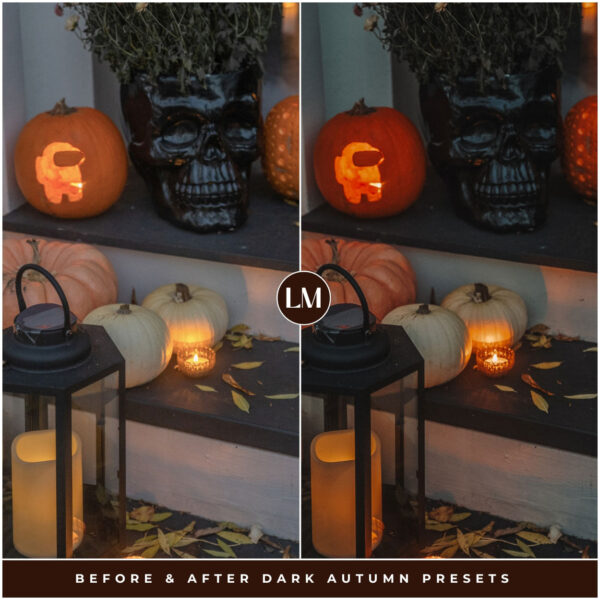 Dark Autumn Preset Collection By Primosy - Image 9