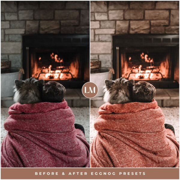Eggnog Preset Collection By Primosy - Image 13