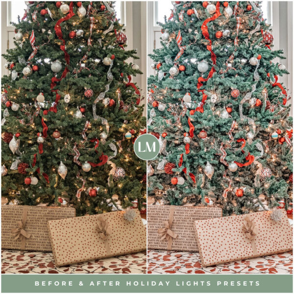 Holiday Lights Preset Collection By Primosy - Image 11