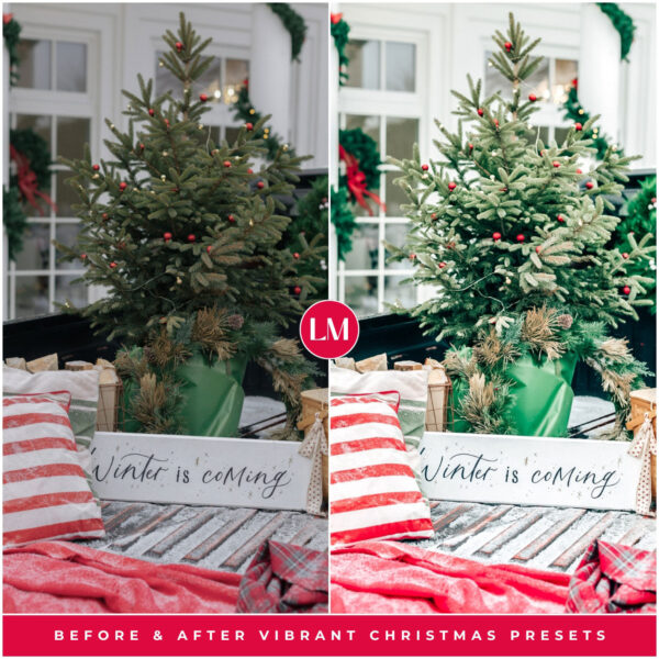 Vibrant Christmas Preset Collection By Primosy - Image 9