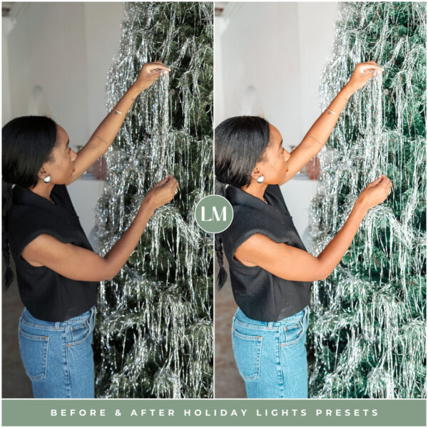 Holiday Lights Preset Collection By Primosy - Image 3
