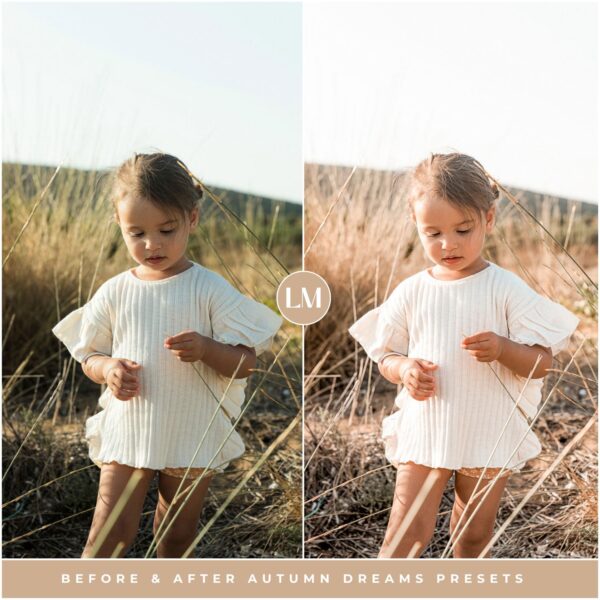 Autumn Dreams Preset Collection By Primosy - Image 9