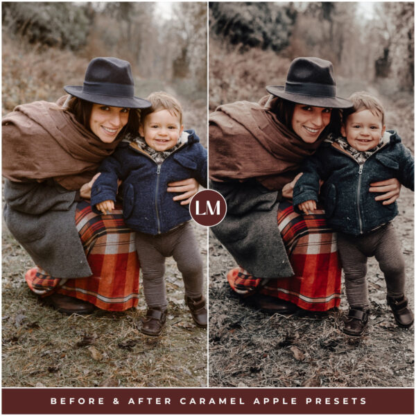 Winter Preset Bundle By Primosy - Image 16