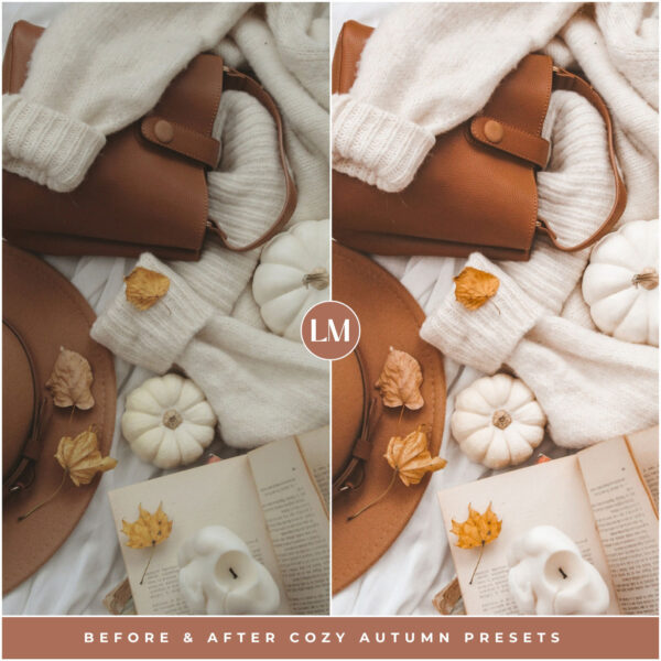 Cozy Autumn Preset Collection By Primosy - Image 8