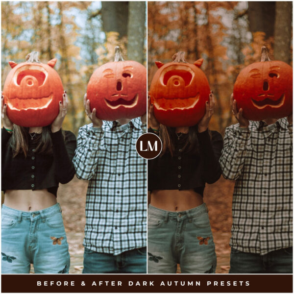 Dark Autumn Preset Collection By Primosy - Image 10