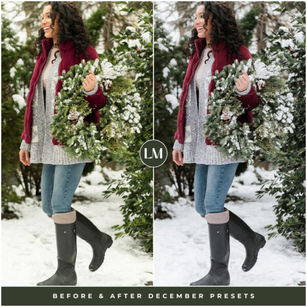 December Preset Collection By Primosy - Image 2