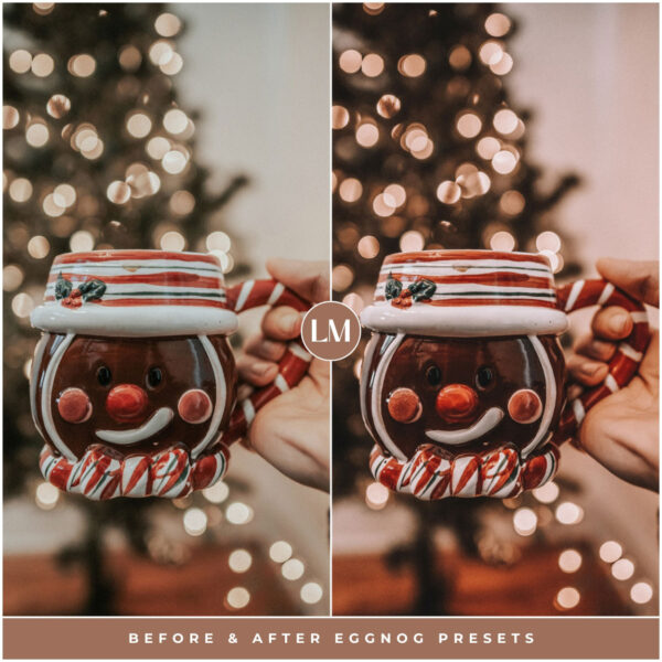Eggnog Preset Collection By Primosy - Image 14