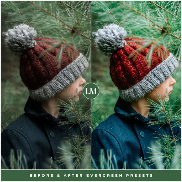 Evergreen Preset Collection By Primosy - Image 6