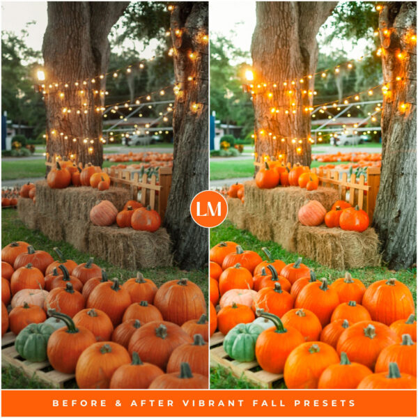 Vibrant Fall Preset Collection By Primosy - Image 7