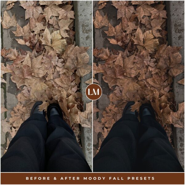 Moody Fall Preset Collection By Primosy - Image 10