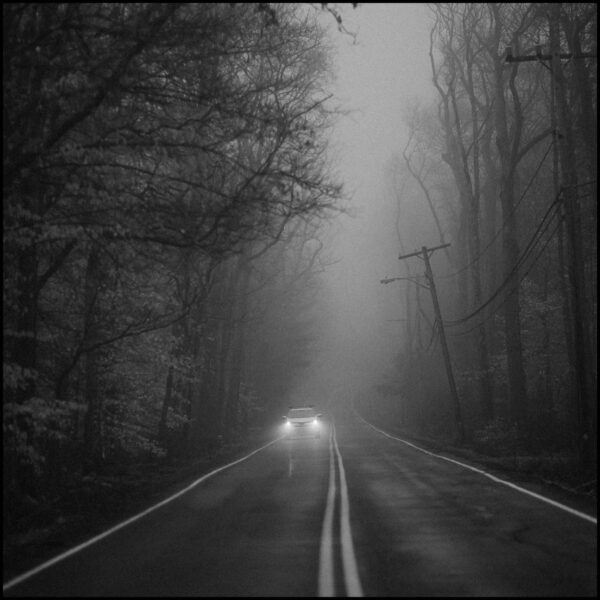 Black & White Bundle By Primosy - Image 12