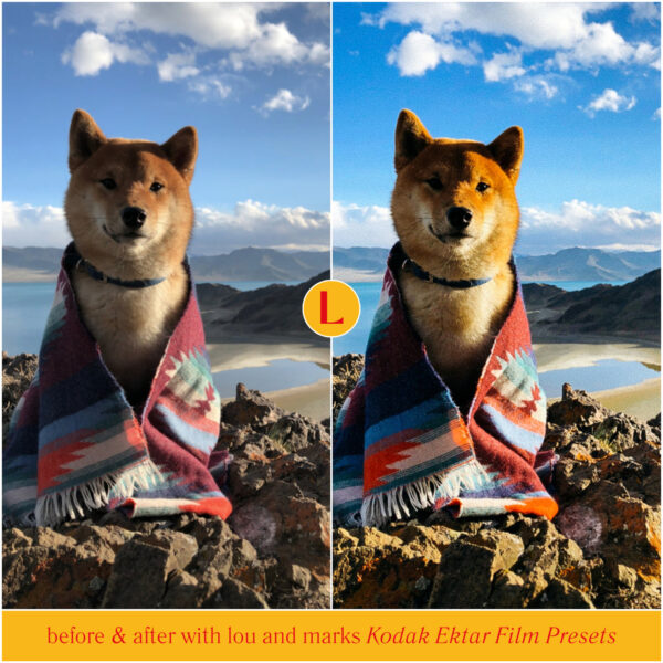 Kodak Ektar Film Preset Collection By Primosy - Image 3