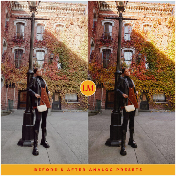 Analog Film Preset Collection By Primosy - Image 6