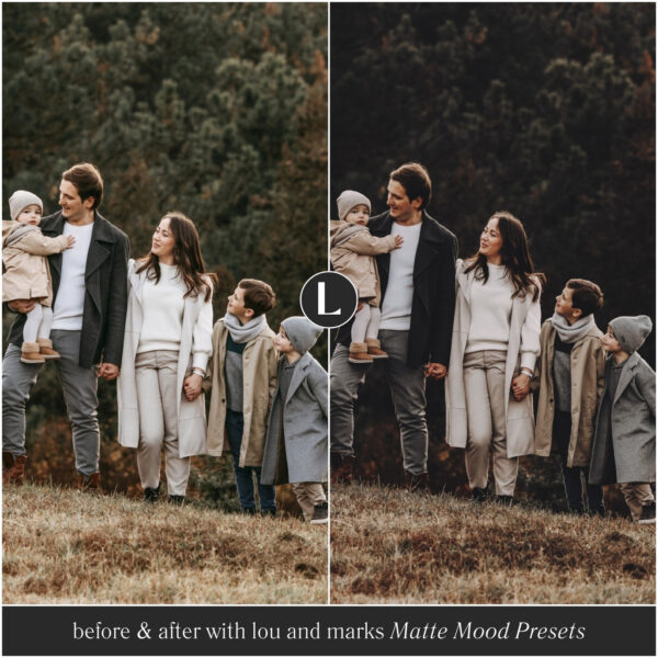 Matte Mood Preset Collection By Primosy - Image 9