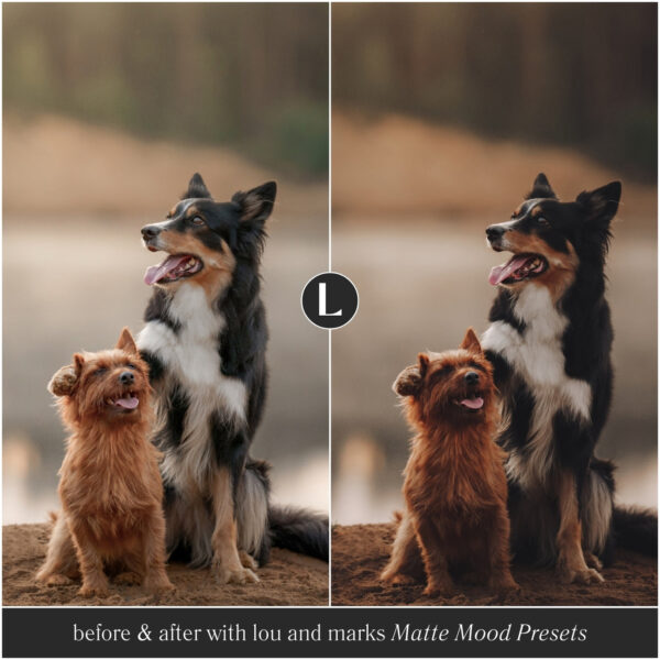 Matte Mood Preset Collection By Primosy - Image 4