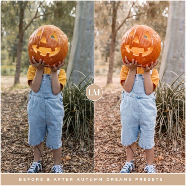 Autumn Dreams Preset Collection By Primosy - Image 7