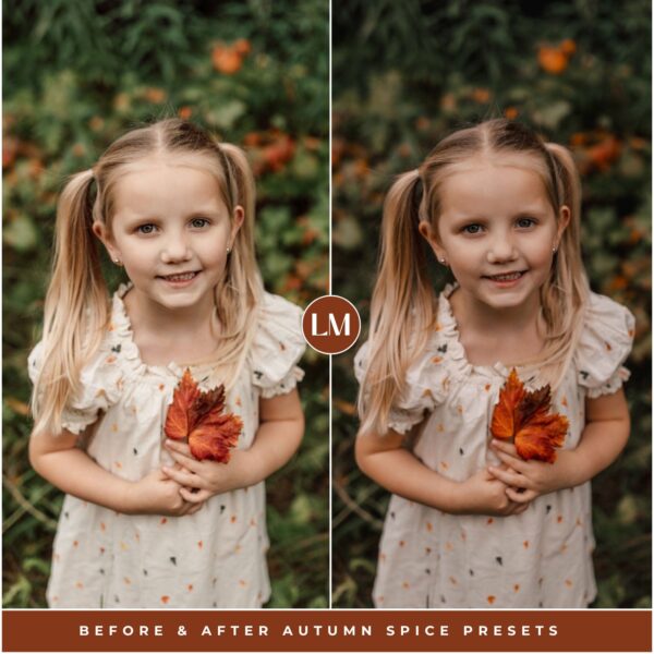 Autumn Spice Preset Collection By Primosy - Image 10