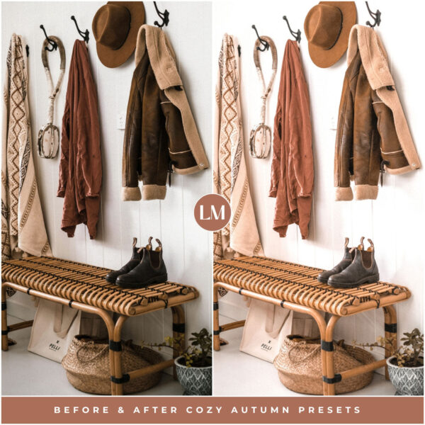 Cozy Autumn Preset Collection By Primosy - Image 11