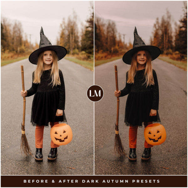 Dark Autumn Preset Collection By Primosy - Image 7
