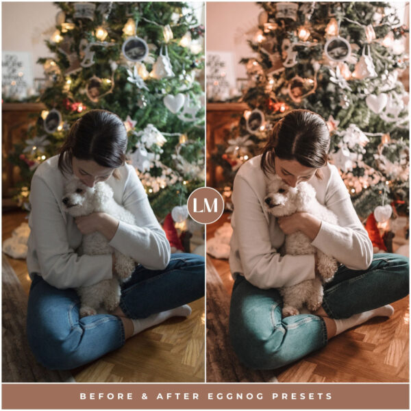 Eggnog Preset Collection By Primosy - Image 12