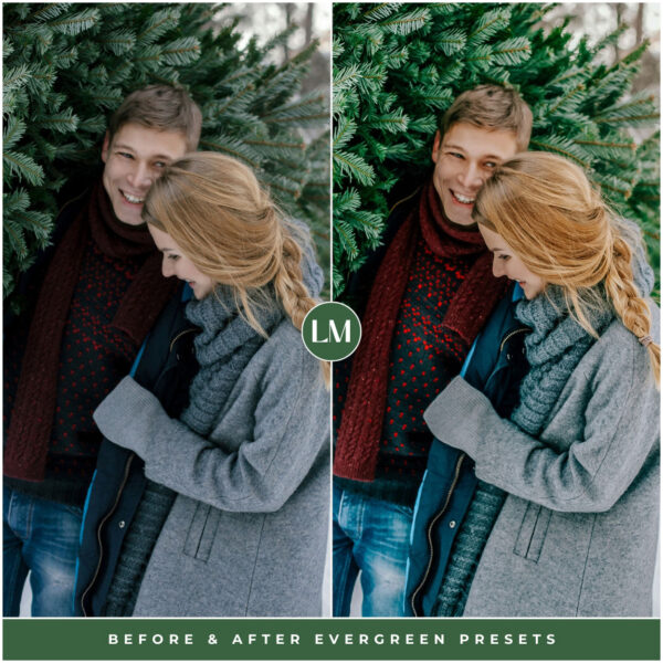 Evergreen Preset Collection By Primosy - Image 9