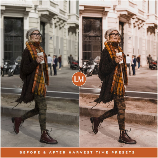 Harvest Time Preset Collection By Primosy - Image 6