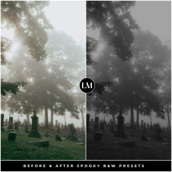 Spooky Black & White Preset Collection By Primosy - Image 13