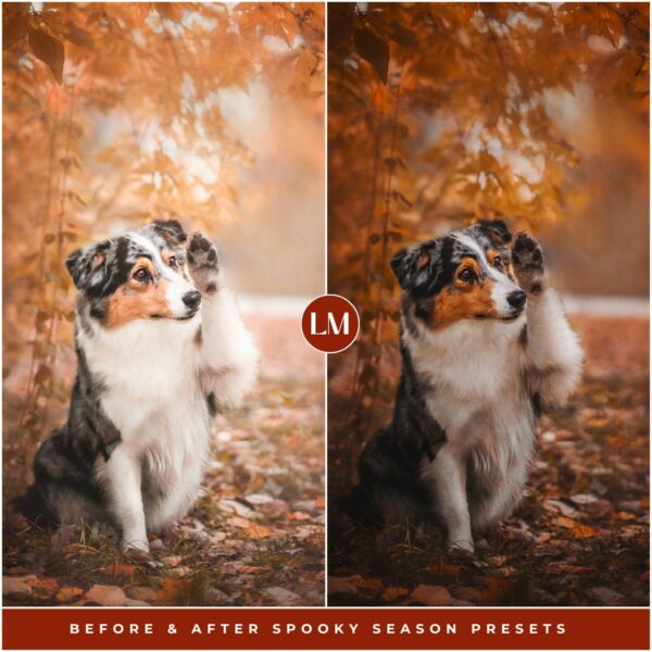 Spooky Season Preset Collection By Primosy - Image 12
