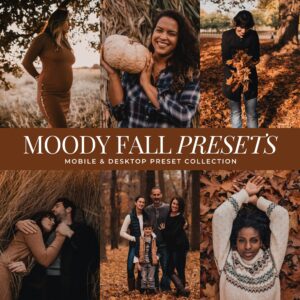 Moody Fall Preset Collection By Primosy