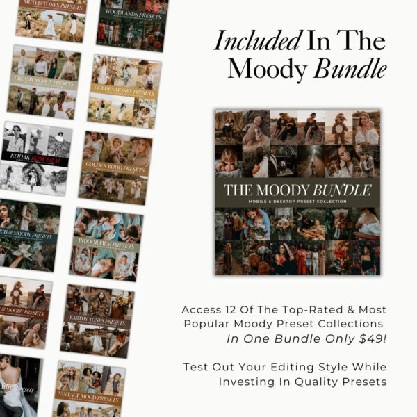 Moody Preset Bundle By Primosy - Image 2
