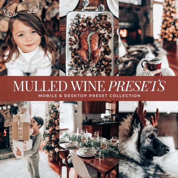 Winter Preset Bundle By Primosy - Image 6