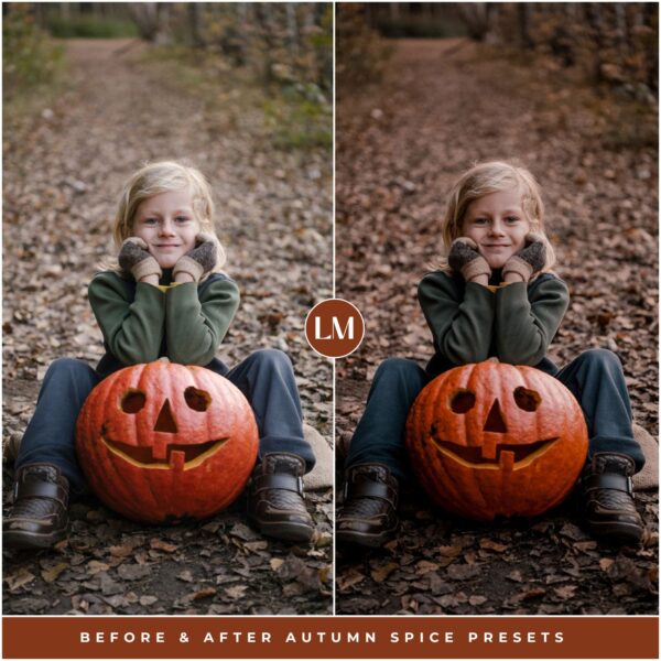 Autumn Spice Preset Collection By Primosy - Image 8
