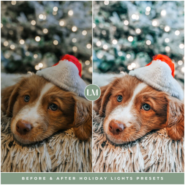 Holiday Lights Preset Collection By Primosy - Image 5